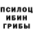 Псилоцибиновые грибы Cubensis Orhan Senay