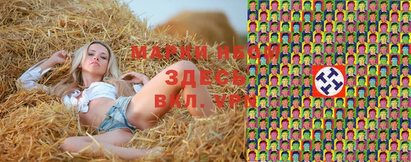 a pvp Абаза