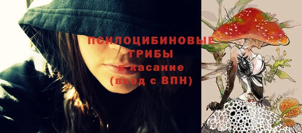 a pvp Абаза