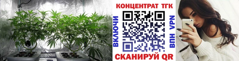 маркетплейс телеграм  kraken ССЫЛКА  Мегион  ТГК Wax 