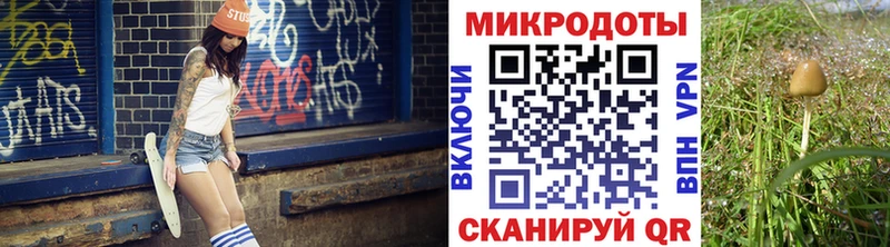 Псилоцибиновые грибы MAGIC MUSHROOMS  OMG сайт  Мегион 
