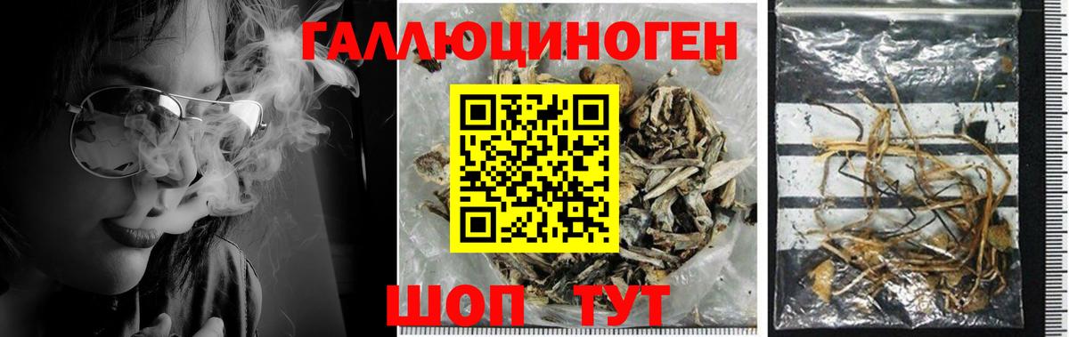 Мегион  Псилоцибиновые грибы мухоморы  Псилоцибиновые грибы Psilocybe  Вход с VPN 